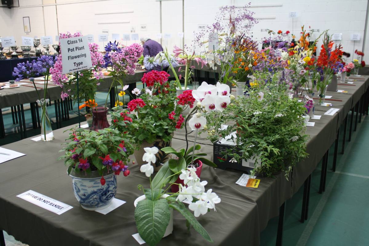 ../Images/Horticultural Show in Bunclody 2014--26.jpg